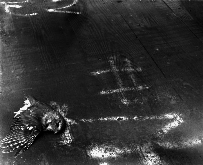 memento mori year 5 day 281