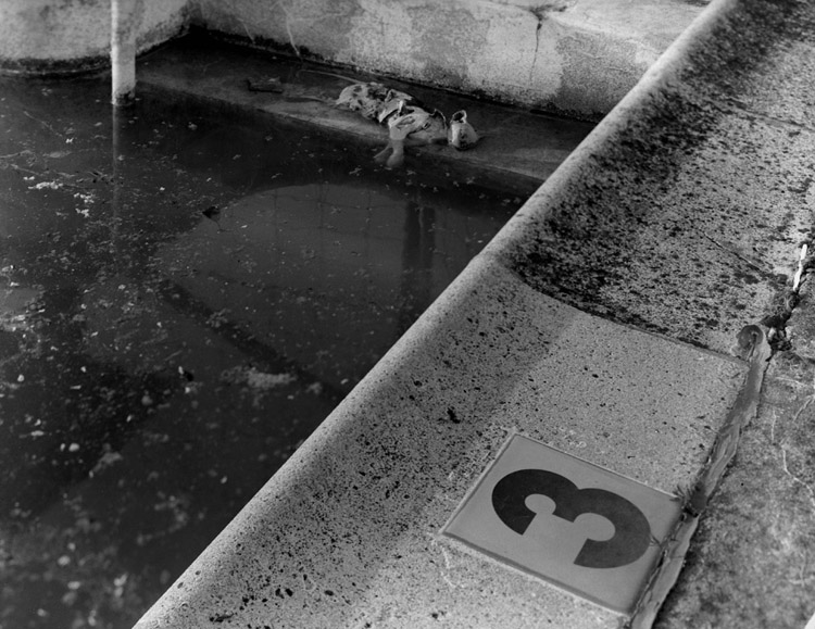 memento mori year 9 day 156b