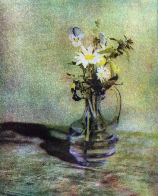 Memories of flowers..