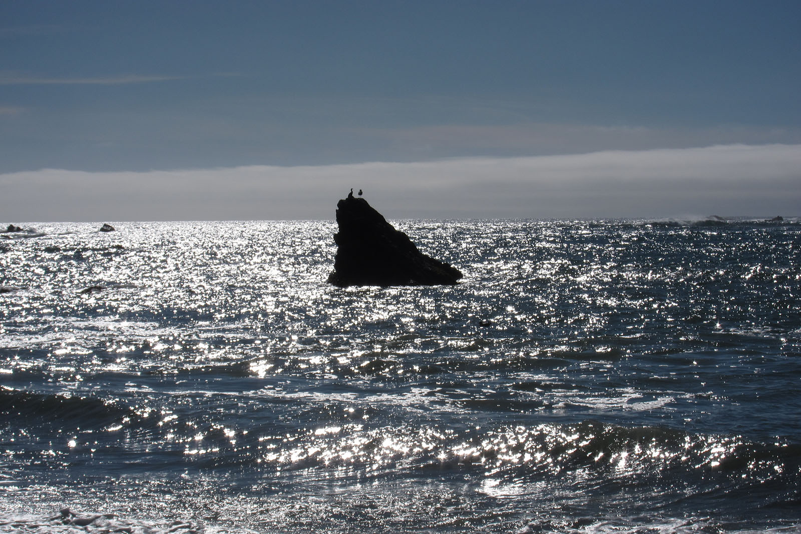 Mendocino Coast