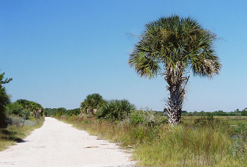 Merritt Island Wildlife Preserve