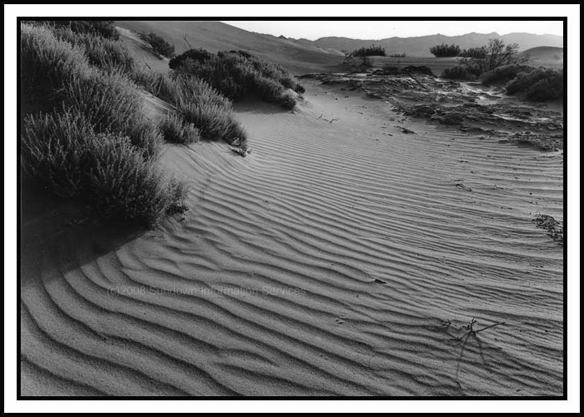 Mesquite Dunes by Stovepipe Wells, Death Valley