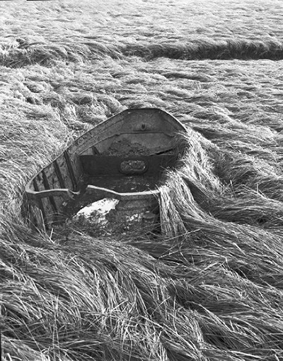 Metal wreck