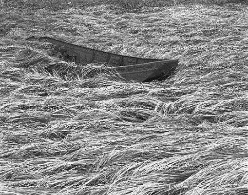 Metal wreck