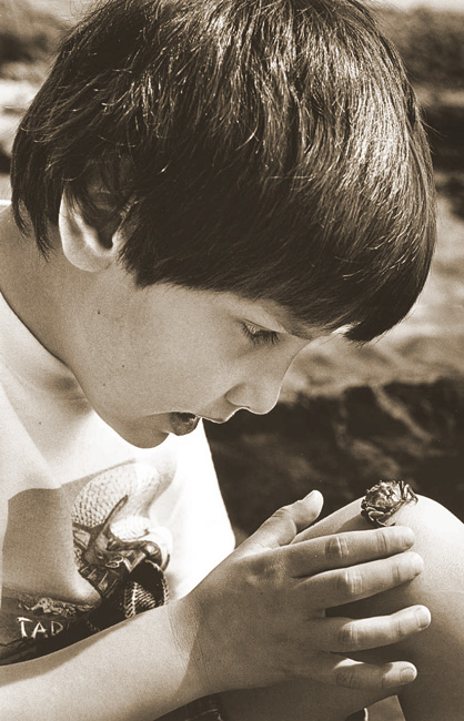 'Michael' the crab