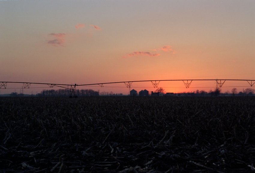 Michigan Farmland Sunrise