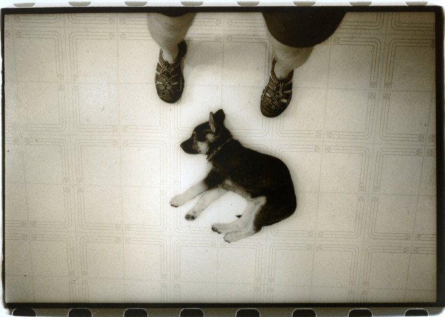 Mickey on a motel kitchen floor