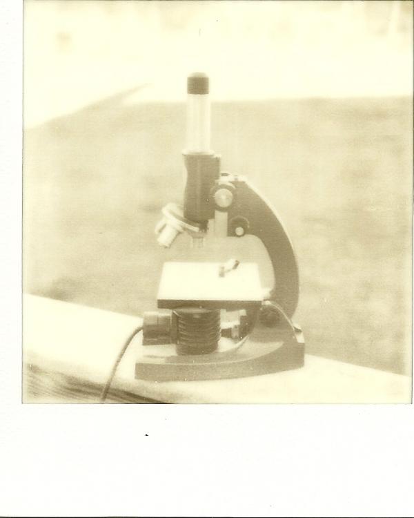 Microscope
