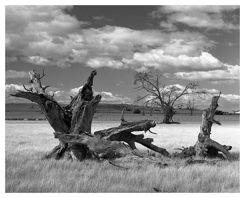 Midlands, Tasmania