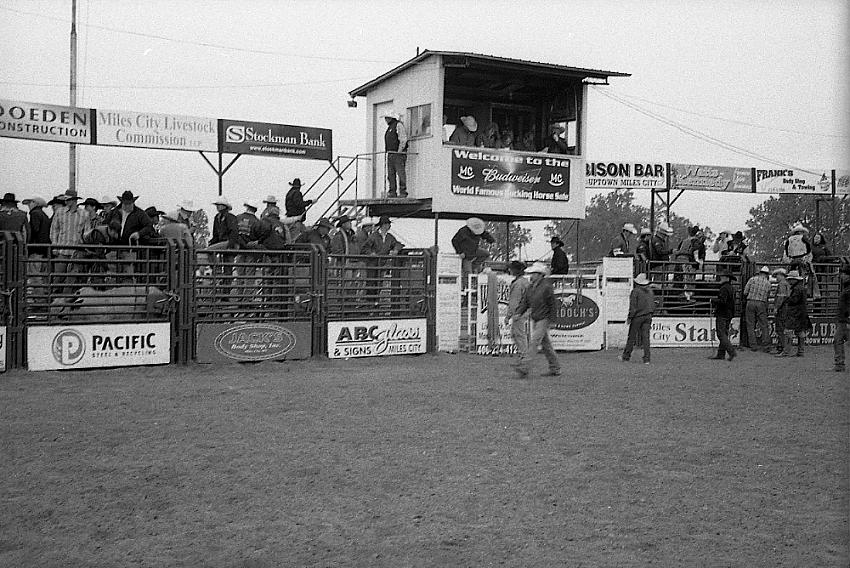 Miles City Bucking Horse Sale