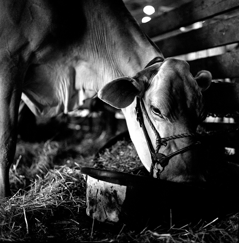 Milwaukee County Fair