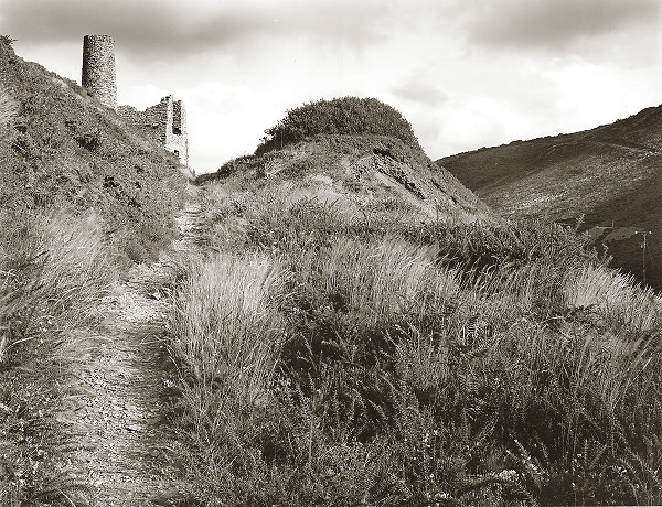 Miners path, Near Porthtowan