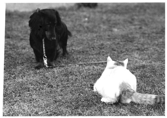 Mini And Phoebe