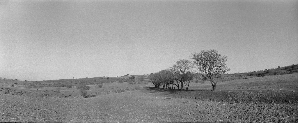 minimal landscape