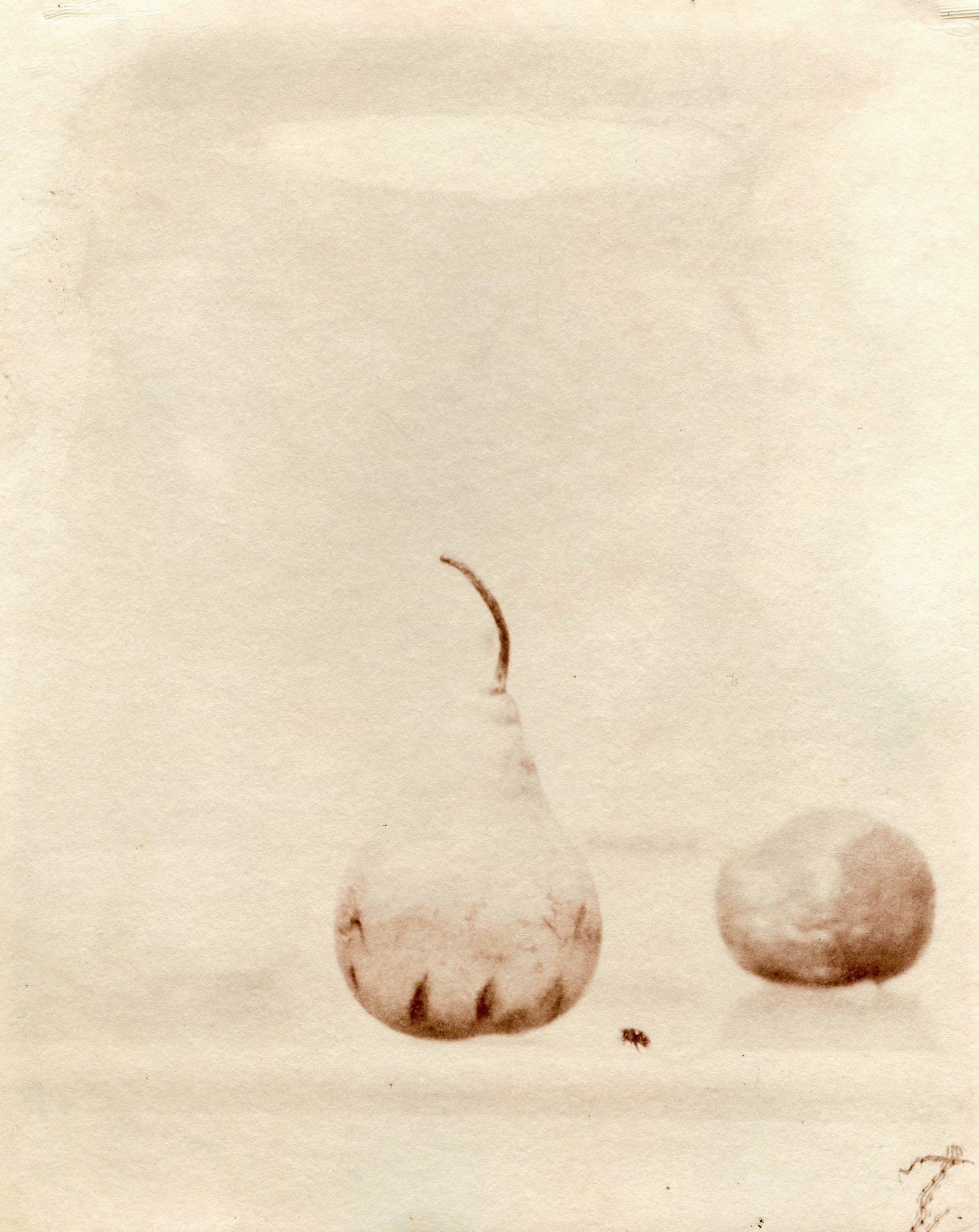 Miniplenty