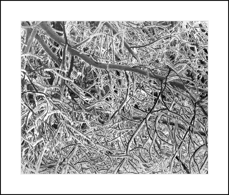 Minnewaska Ice