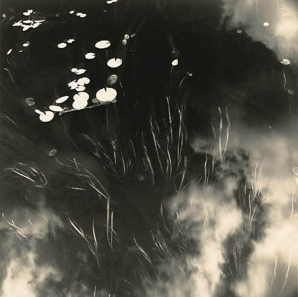 Minor Gyre