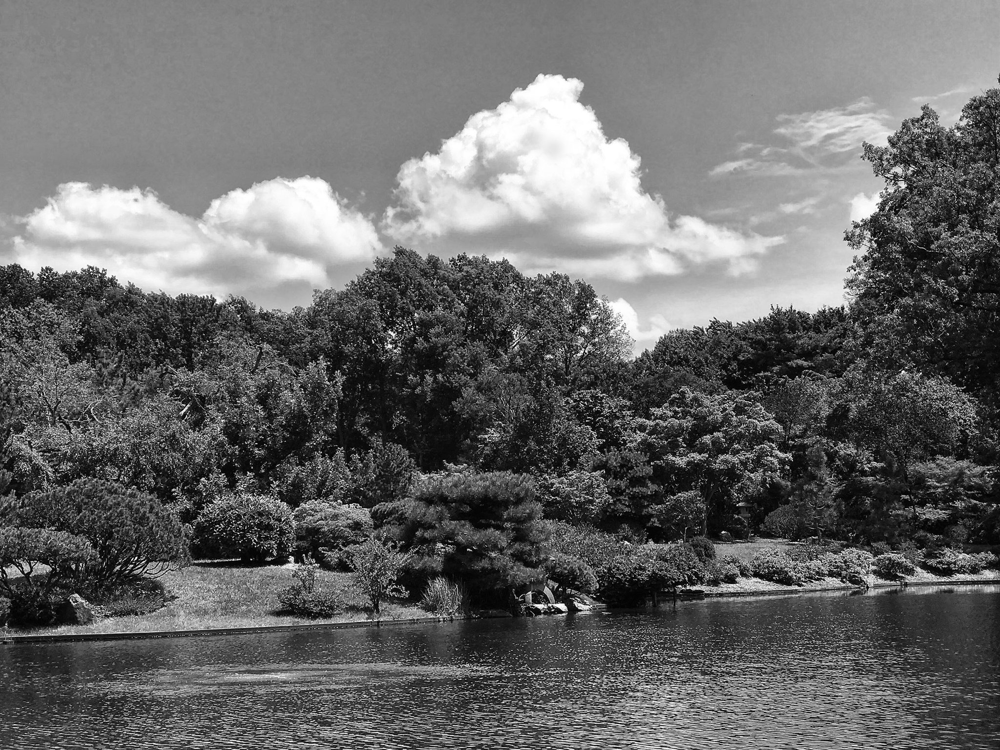 Missouri Botanical Gardens | Photrio.com Photography Forums