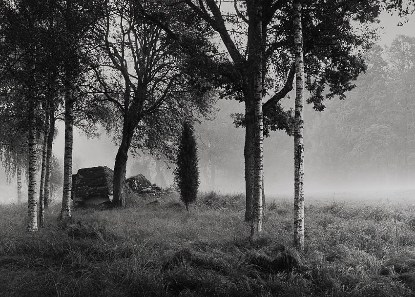 mist at dawn