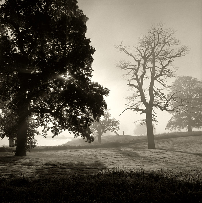 Misty Landscape Leixlip Kildare