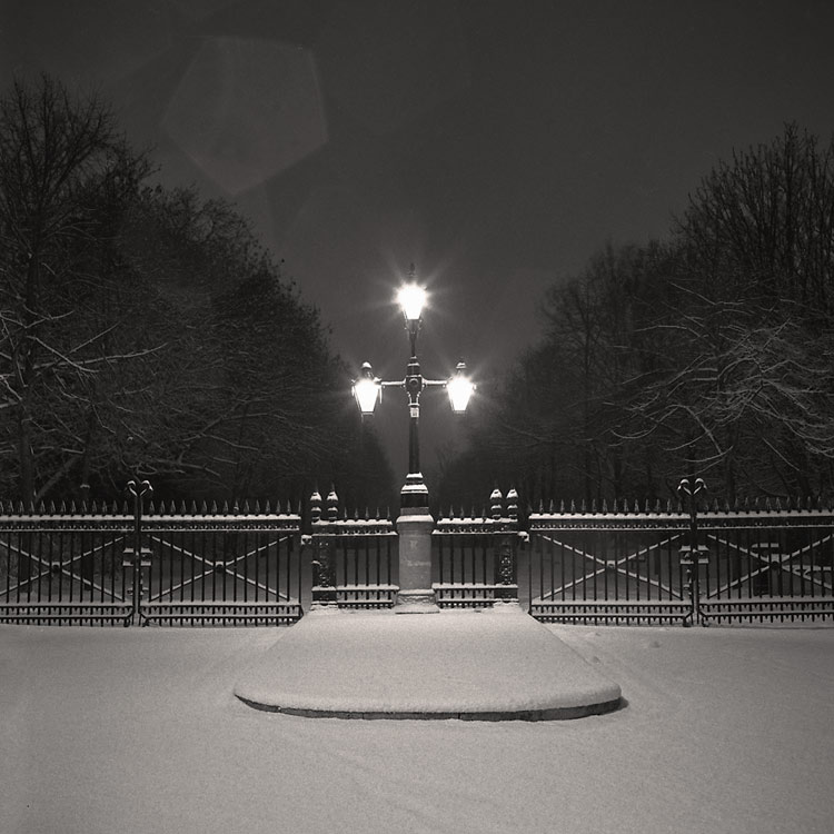 Monday Snow 2