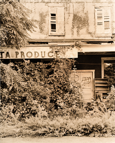 Moneta Produce