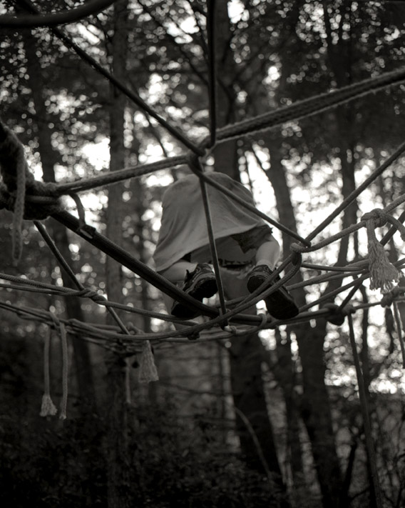 Monkey Nest