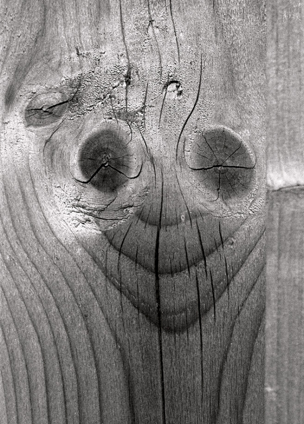 "Monkey"