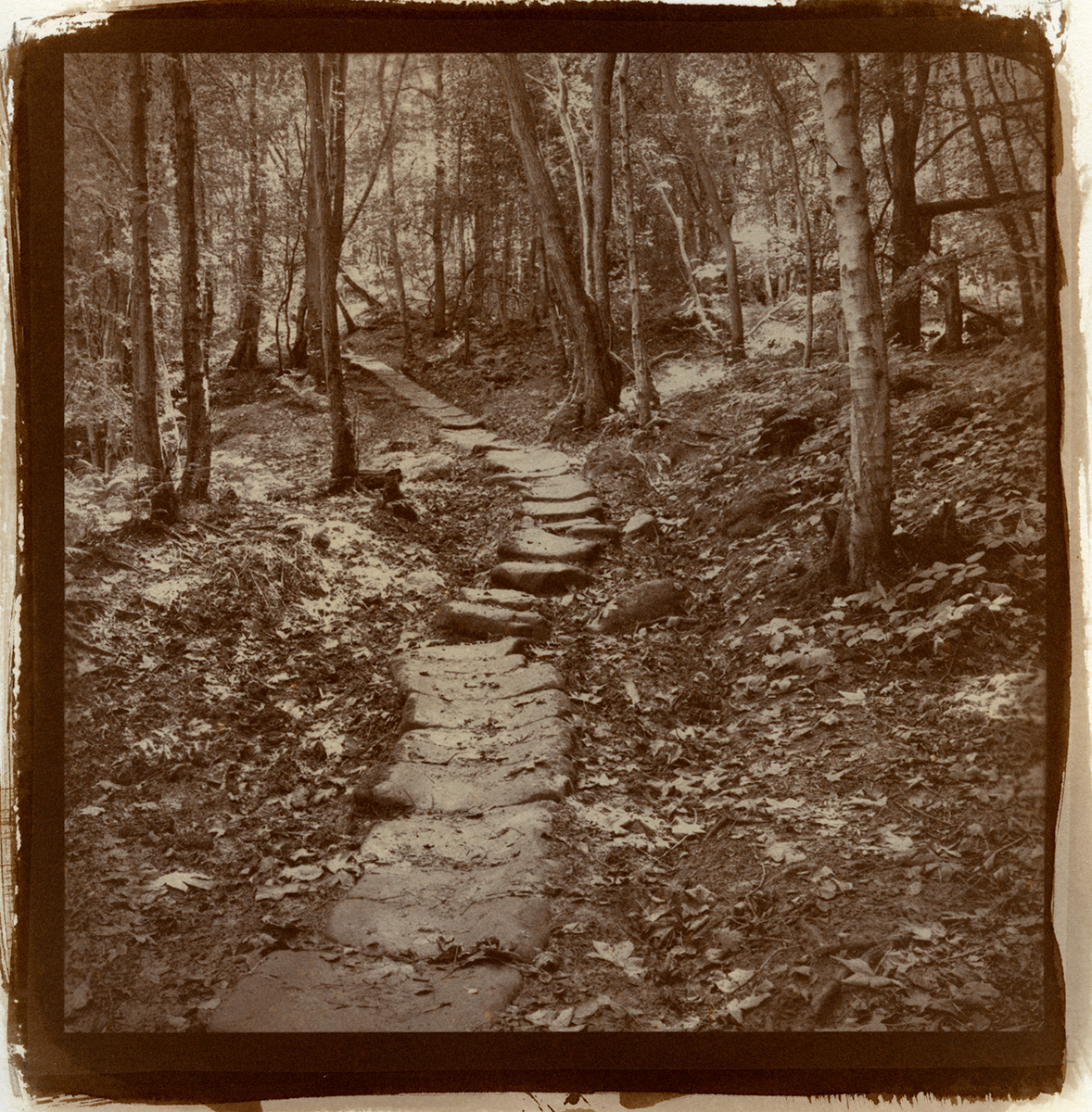 Monks Trod - Salt Print