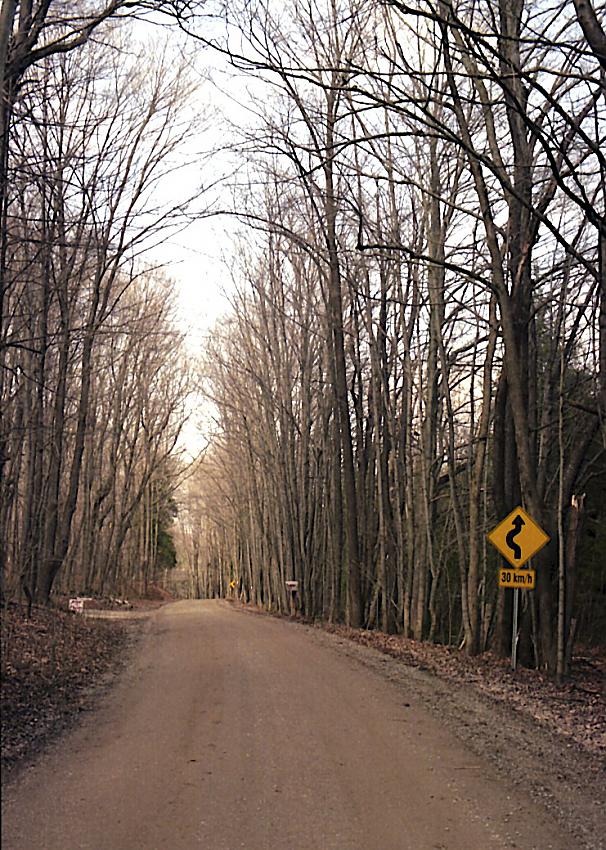 Mono Township Rd #3