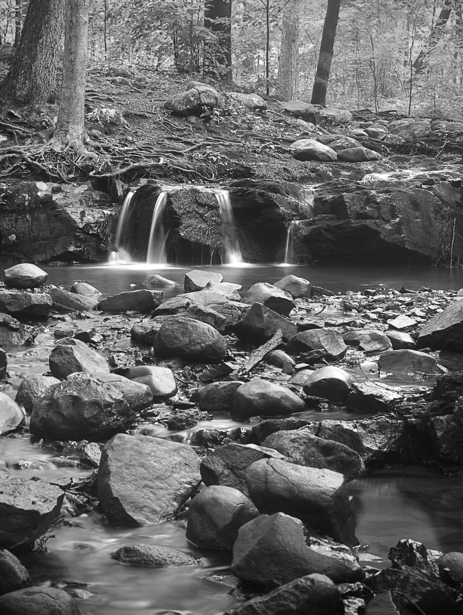 Monocacy Creek 01