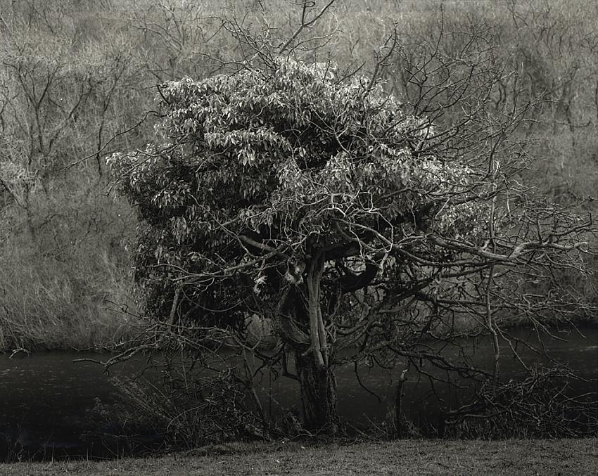 Monsal Dale