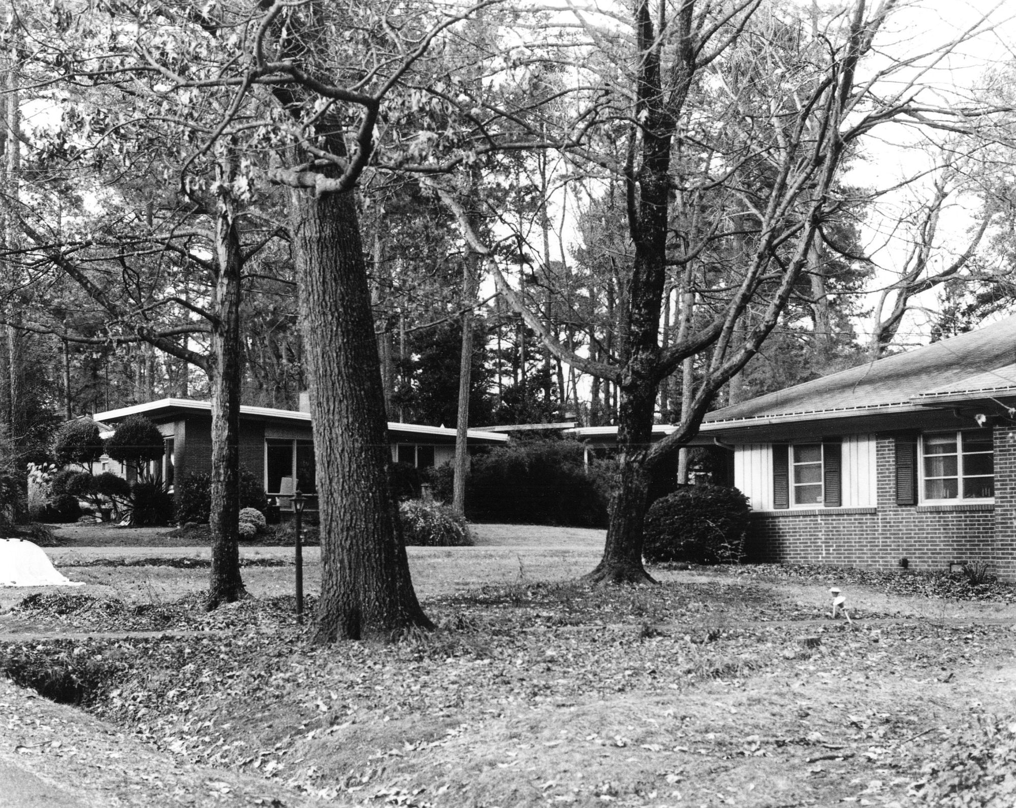 Monticello Avenue-2
