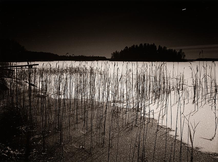 Moonlight shadows