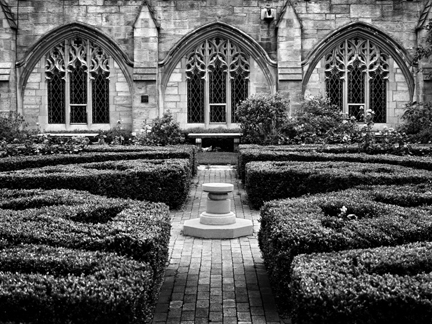 Moonlit Garden