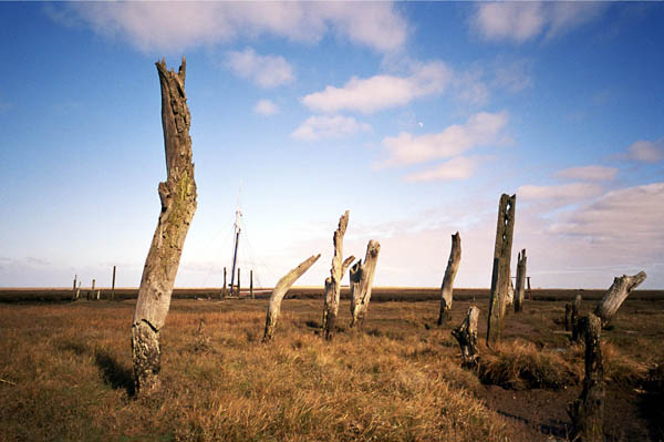 Moonrise at Thornham
