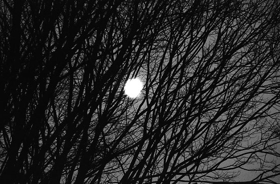 Moonrise