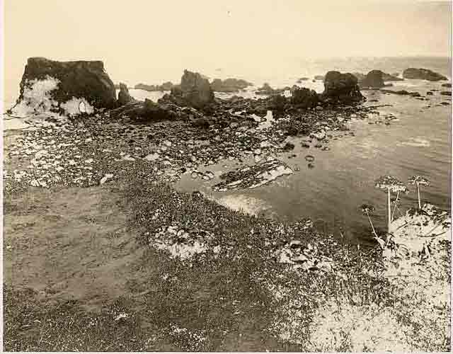 Mordancage Seascape