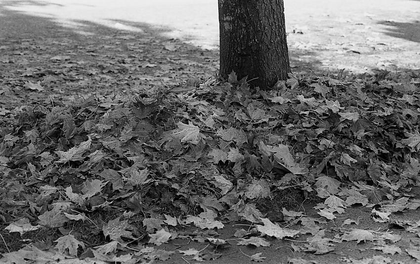 More 5222 film