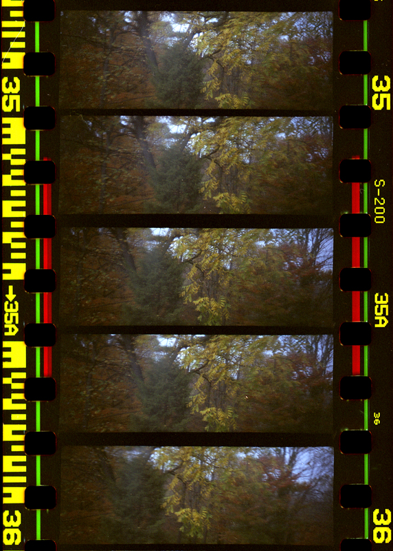 More Frames from my Lomo Kino
