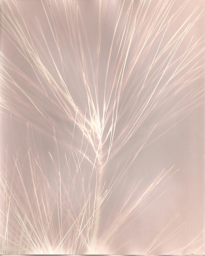 More Lumen experiments