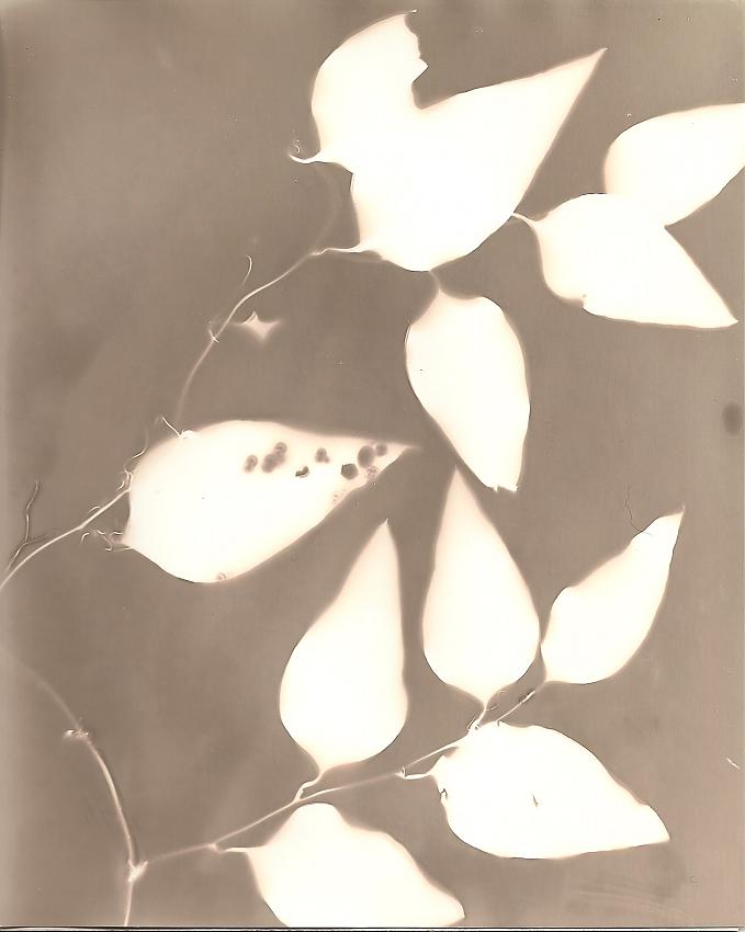 More Lumen experiments