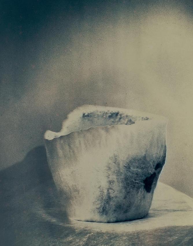 More Solarized Prints with toning