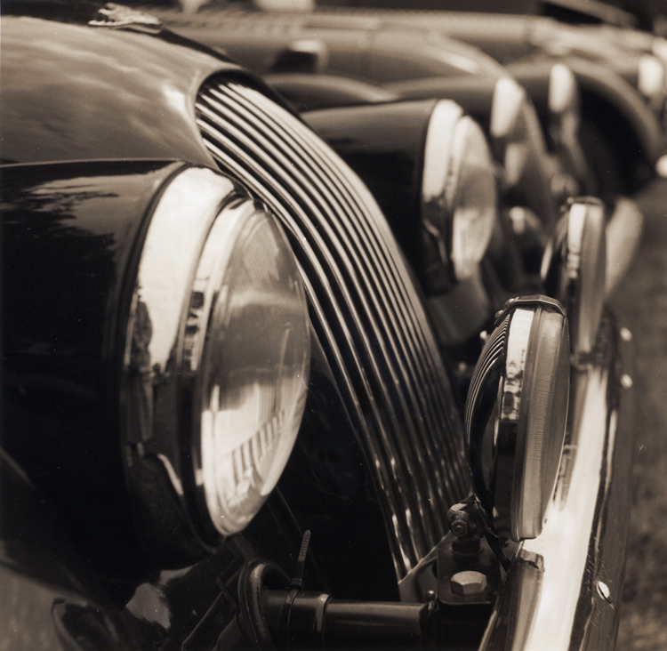 Morgans