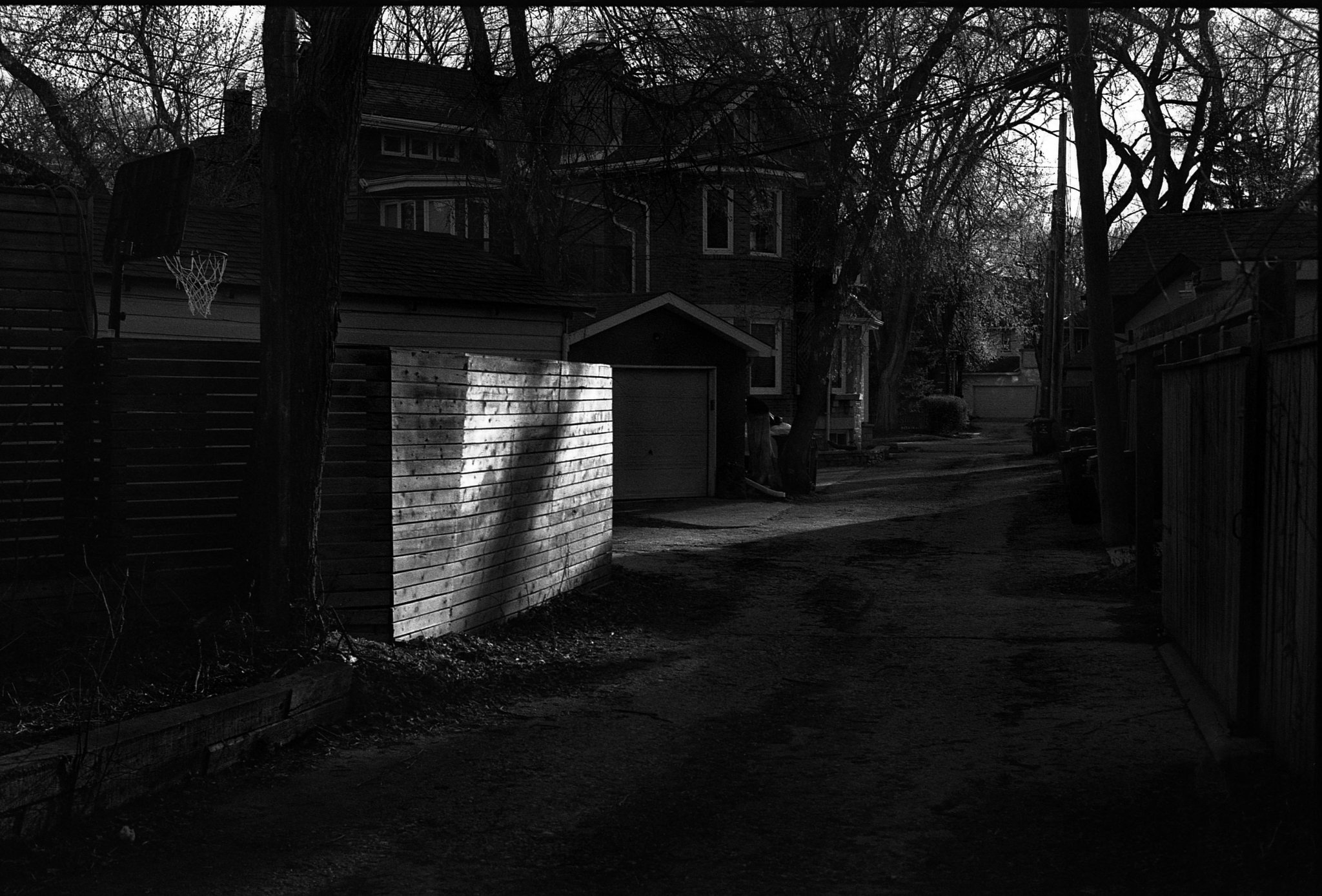 Morning Alley
