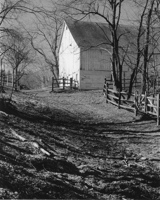 Morning Barn