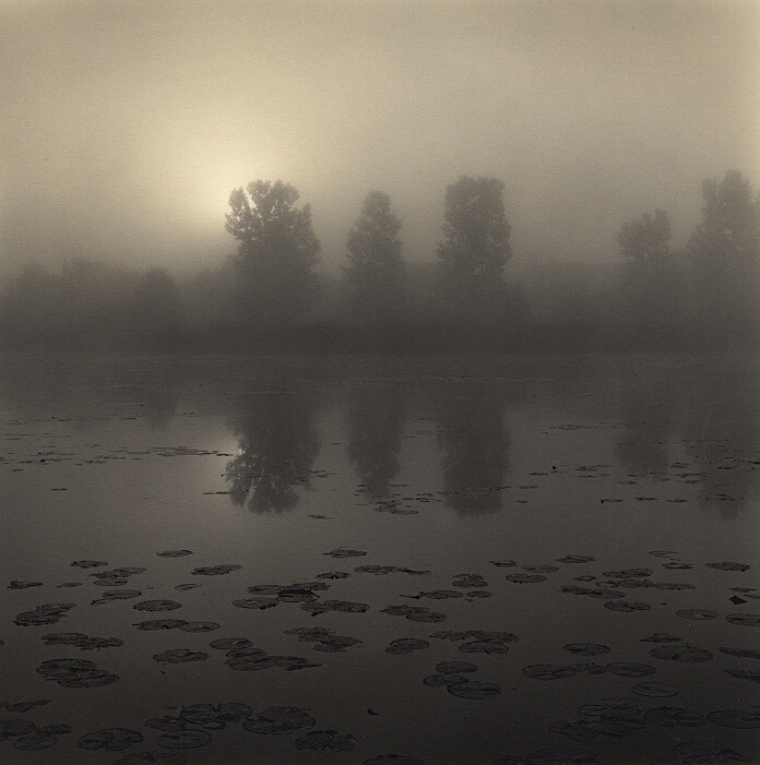 Morning Fog (print)