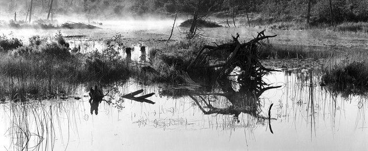 Morning-fog