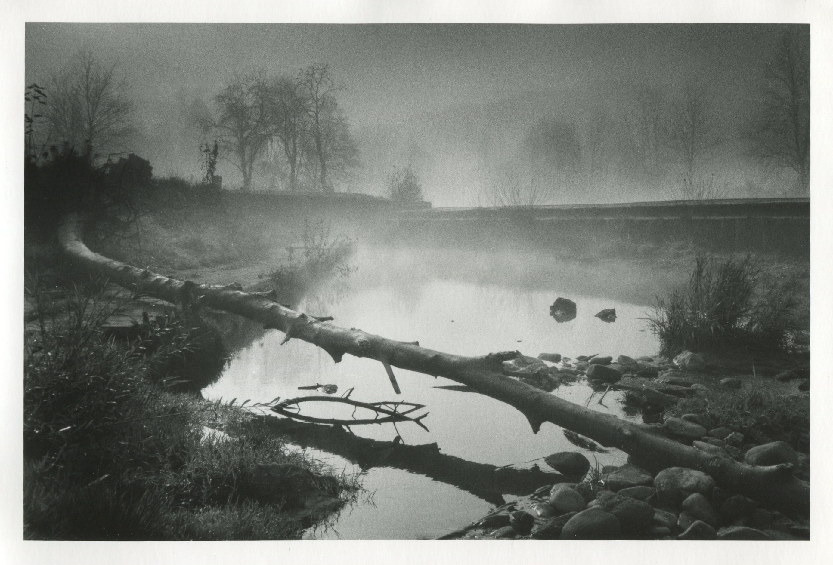 Morning fog