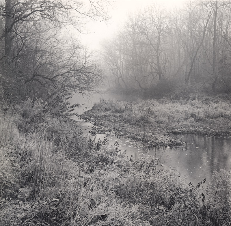 Morning Frost and Fog, Eagle Creek